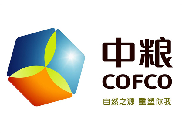 乐成案例