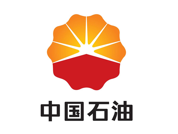 乐成案例